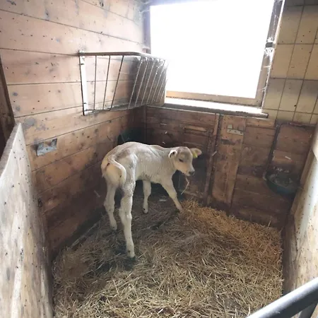 Alpenfarm Poschhof By Interhome Apartment Kaunerberg