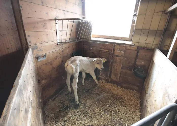 Alpenfarm Poschhof By Interhome شقة Kaunerberg