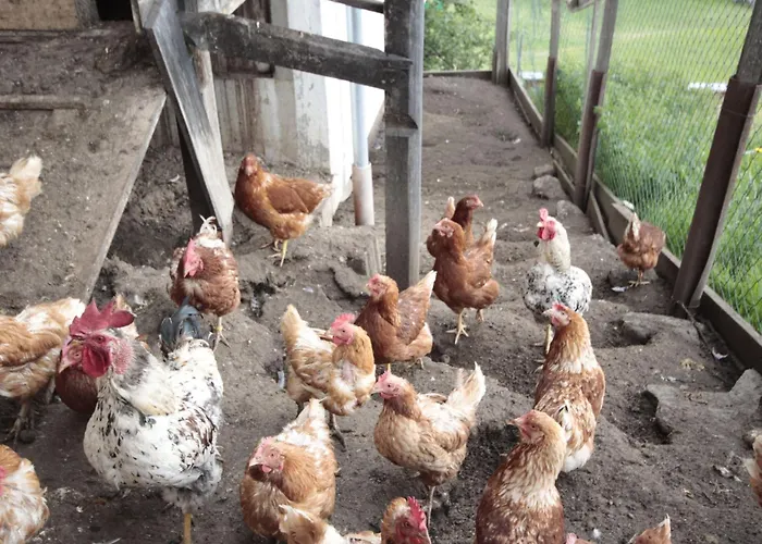 Alpenfarm Poschhof By Interhome Apartment Kaunerberg